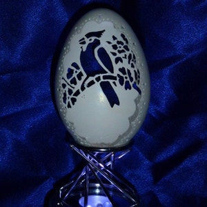 Hand-Carved Goose Egg: Blue Jay or Cardinal Half Design (#92)
