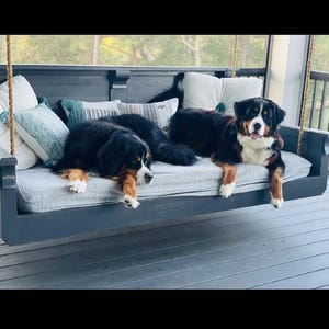 May include: Two Bernese Mountain dogs relaxing on a gray porch swing with a white and gray cushion. The swing is made of dark wood and has a rope hanging from the top.