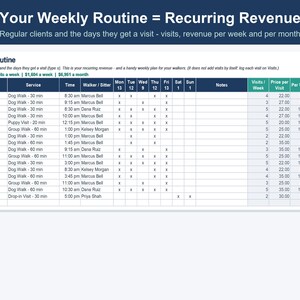 Pet Sitting & Dog Walking Business Spreadsheet, Client, Visit and Invoice Tracker (Excel, Google Sheets) image 4