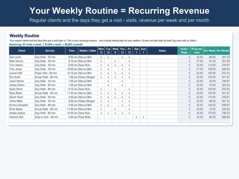 Pet Sitting & Dog Walking Business Spreadsheet, Client, Visit and Invoice Tracker (Excel, Google Sheets) image 4