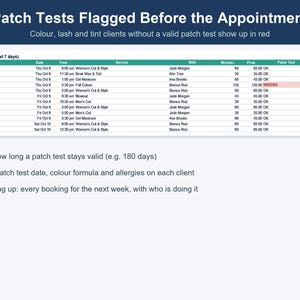 Salon Business Spreadsheet, Hair, Lash & Nail Client Tracker (Excel, Google Sheets) image 4