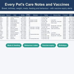 Pet Sitting & Dog Walking Business Spreadsheet, Client, Visit and Invoice Tracker (Excel, Google Sheets) image 6