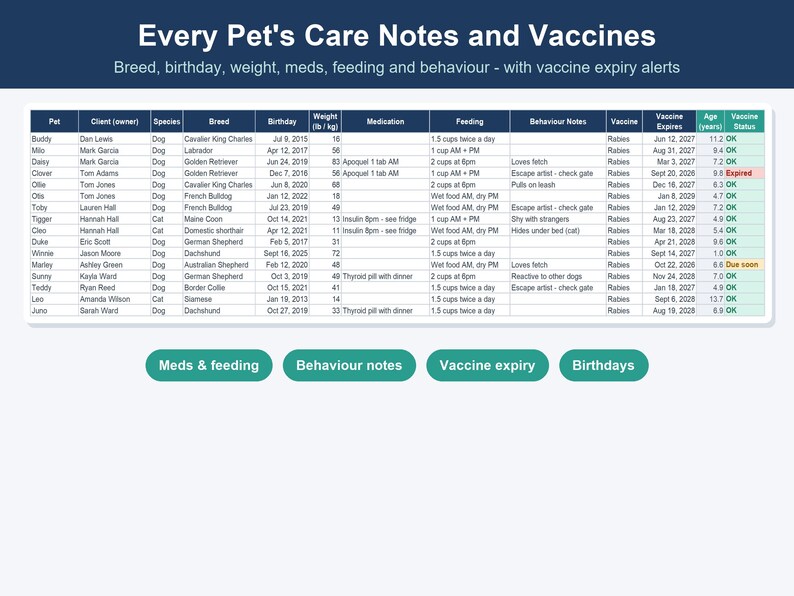 Pet Sitting & Dog Walking Business Spreadsheet, Client, Visit and Invoice Tracker (Excel, Google Sheets) image 6