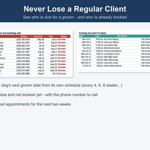 Dog Grooming Business Tracker, Client & Income Spreadsheet (Excel, Google Sheets) image 4