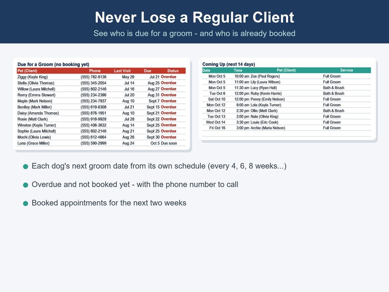 Dog Grooming Business Tracker, Client & Income Spreadsheet (Excel, Google Sheets) image 4