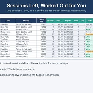 Personal Trainer Spreadsheet, Client Session & Progress Tracker (Excel, Google Sheets) image 2