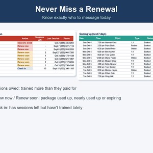 Personal Trainer Spreadsheet, Client Session & Progress Tracker (Excel, Google Sheets) image 4