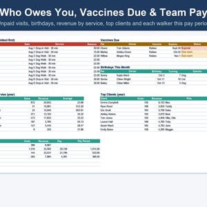 Pet Sitting & Dog Walking Business Spreadsheet, Client, Visit and Invoice Tracker (Excel, Google Sheets) image 8