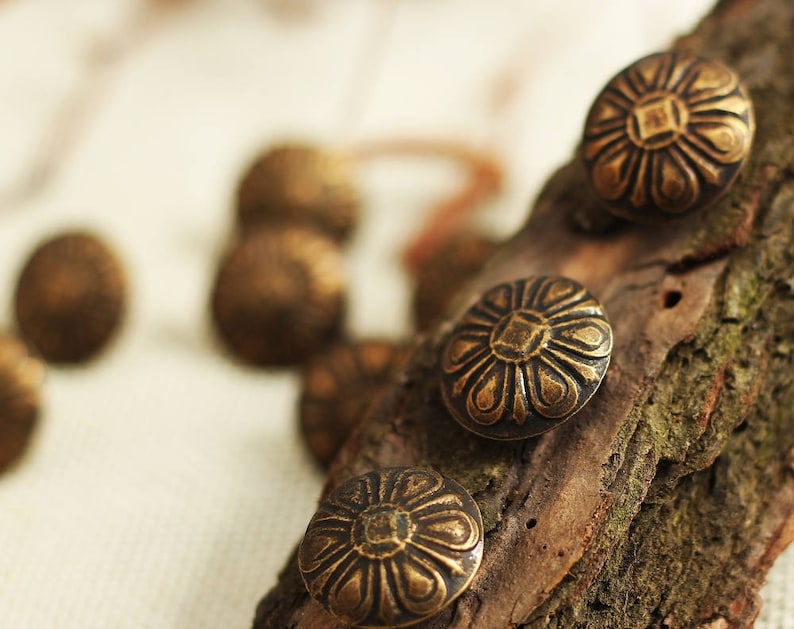 Puede incluir: Primer plano de seis tachuelas decorativas de color bronce antiguo con un dise&ntilde;o floral. Las tachuelas est&aacute;n dispuestas sobre un trozo de madera desgastada.