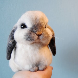 Custom Made Rabbit, Needle Felted Rabbit, Handmade Lifelike Felt Rabbit: Seal Point Dwarf Lop, Holland Lop, French Lop or any other breed