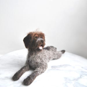 Wyżeł niemiecki krótkowłosy, pies rasy Griffon szorstkowłosy, pies filcowany igłowo: Deutsch Drahthaar, wyżeł niemiecki krótkowłosy lub jakakolwiek inna rasa