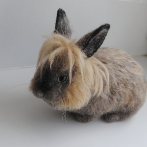 Custom Made Rabbit, Needle Felted Pet Portrait, Life Size Bunny, Lifelike Felt Rabbit: Lionhead rabbit, Himalayan rabbit or any other breed