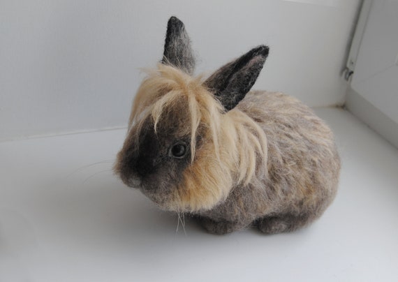 Lionhead bunny size sales