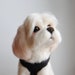 see more listings in the Custom Dogs and Cats section