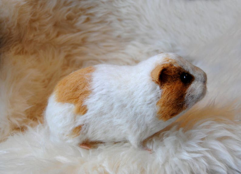 Needle Felted Short Haired Guinea Pig Custom Made Guinea Pig Etsy UK