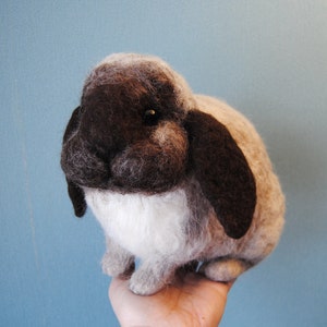 Custom Made Rabbit, Needle Felted Rabbit, Handmade Lifelike Felt Rabbit: Seal Point Dwarf Lop, Holland Lop, French Lop or any other breed image 2