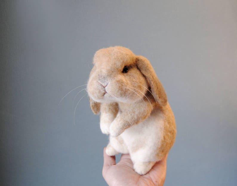Custom Made Rabbit, Needle Felted Rabbit, Handmade Lifelike Felt Rabbit: Seal Point Dwarf Lop, Holland Lop, French Lop or any other breed image 4