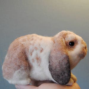 Custom Made Rabbit, Needle Felted Rabbit, Handmade Lifelike Felt Rabbit: Seal Point Dwarf Lop, Holland Lop, French Lop or any other breed image 3