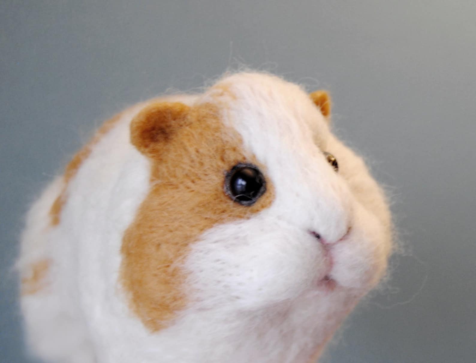 Needle Felted Short Haired Guinea Pig Custom Made Guinea Pig Etsy