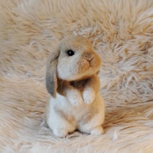 Custom Made Rabbit, Needle Felted Rabbit, Handmade Lifelike Felt Rabbit: Seal Point Dwarf Lop, Holland Lop, French Lop or any other breed image 8