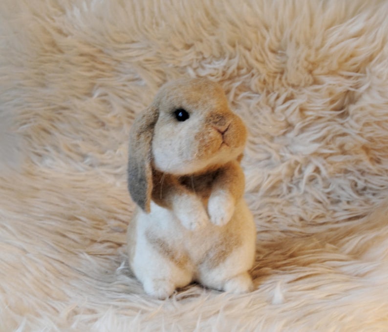 Custom Made Rabbit, Needle Felted Rabbit, Handmade Lifelike Felt Rabbit: Seal Point Dwarf Lop, Holland Lop, French Lop or any other breed image 8