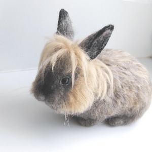 Custom Made Rabbit, Needle Felted Pet Portrait, Life Size Bunny, Lifelike Felt Rabbit: Lionhead rabbit, Himalayan rabbit or any other breed