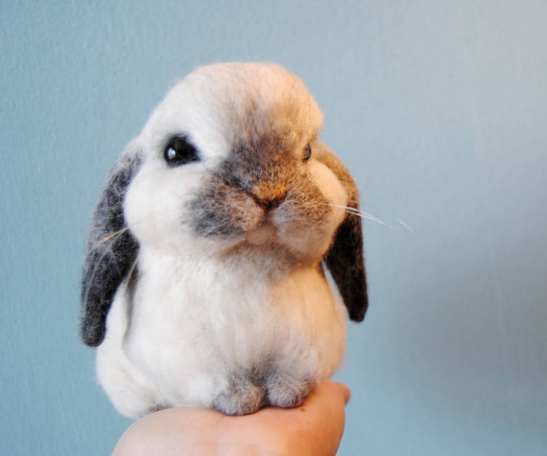 Custom Made Rabbit, Needle Felted Rabbit, Handmade Lifelike Felt Rabbit: Seal Point Dwarf Lop, Holland Lop, French Lop or any other breed image 1