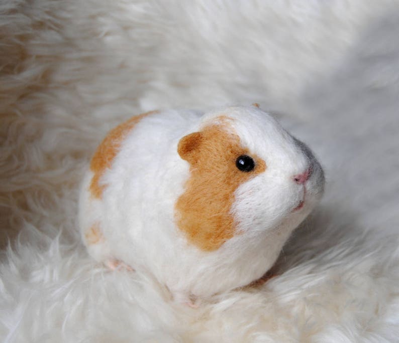 Needle Felted Short Haired Guinea Pig Custom Made Guinea Pig Etsy