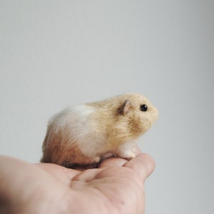 Custom Realistic Hamster, Needle Felted Animal, Handmade 3D Pet Portrait made to order image 5