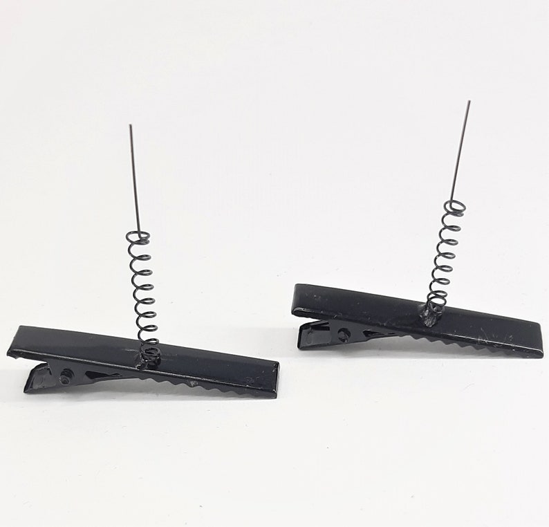 May include: Two black metal hair clips with spring coils. The clips are designed to hold hair in place.