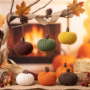 Puede incluir: Una colección de seis adornos de calabaza tejidos en marrón, verde, amarillo, blanco y naranja. Tres calabazas cuelgan de una rama con cinta de arpillera y piñas, mientras que tres se asientan debajo. Dos pequeñas figuras de pavo flanquean.