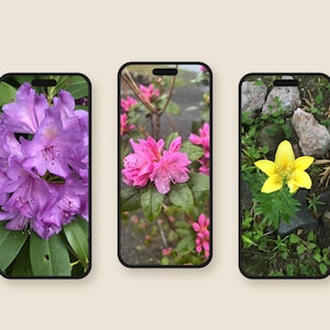 New England Garden Floral Phone Wallpapers, Purple Pink Yellow Flowers (Digital Download)