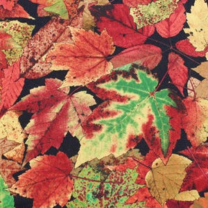 May include: A close-up of a fabric with a pattern of red, green, yellow, and brown leaves. The leaves are arranged in a random pattern and overlap each other. The fabric has a dark background.