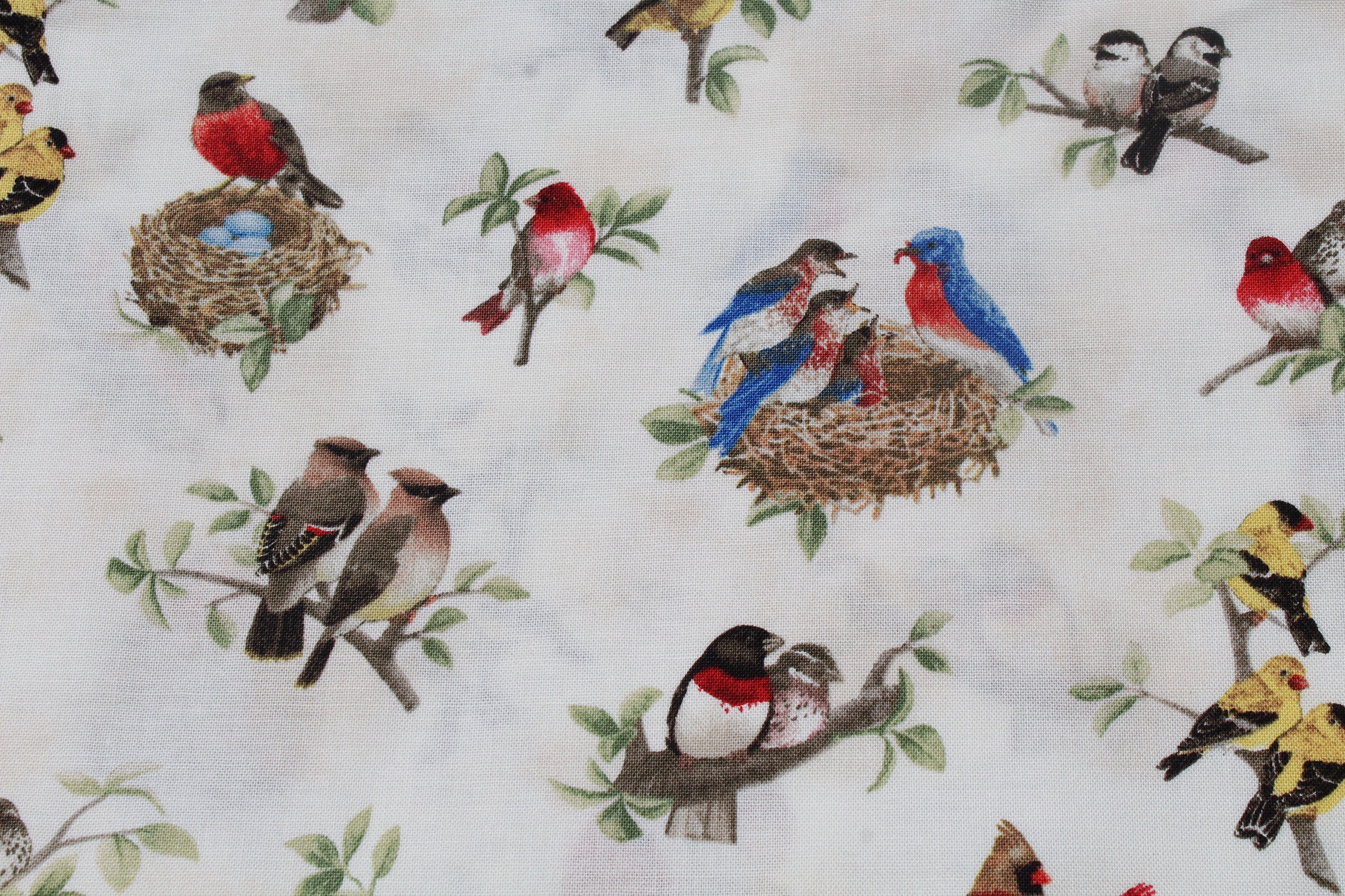 Robbins Nest - Etsy