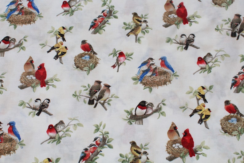 Red Robbin Pattern Cardinal & Robbin Bird Print Cotton Fabric by the Half Yard - Elizabeth ...