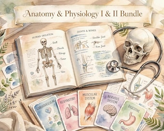 May include: An Anatomy & Physiology I & II Bundle featuring an open textbook with human skeleton and joint diagrams, a human skull, a stethoscope, and five educational cards labeled Cardiovascular, Respiratory, Muscular, Nervous, and Digestive systems.