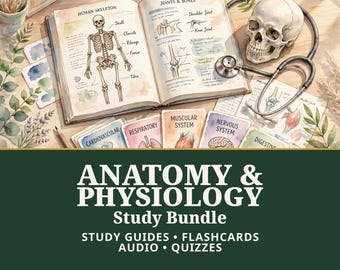 Anatomy and Physiology Study Bundle | A&P I and II Study Guides, Flashcards, Audio and Quizzes | Digital Download