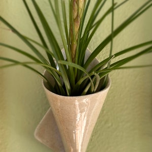 Wall Hanging Handmade Ceramic Air Plants or Succulent Planter, Dried Flower Bouquet Vase, Pocket Sconce Pottery.