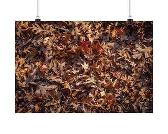 May include: A dense collection of fallen oak leaves in shades of brown, tan, and gold, with a single vibrant red leaf near the center, all suspended by two black metal clips attached to the top edge of the rectangular print.