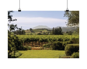 May include: A landscape photograph featuring a foreground of green grass and bushes, leading to rows of grapevines in a vineyard. In the background, rolling hills and trees are visible under a light blue sky with soft clouds.
