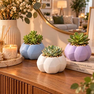 Può includere: Tre piccoli vasi in ceramica a forma di zucca sfaccettata, di colore azzurro, bianco e viola chiaro, contenenti ciascuno una pianta succulenta verde, disposti su una superficie in legno accanto a libri e decorazioni.