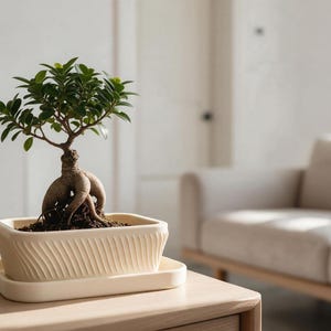 Bonsai-Topf mit Untersetzer, rechteckiger Bonsai-Pflanztopf, 3D-gedruckter Pflanztopf, moderner japanischer Pflanztopf