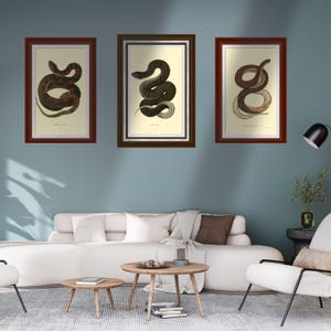 Juego de tres láminas con estampado de serpiente, estampados de serpiente estilo academia oscura, decoración sombría para la sala de estar.