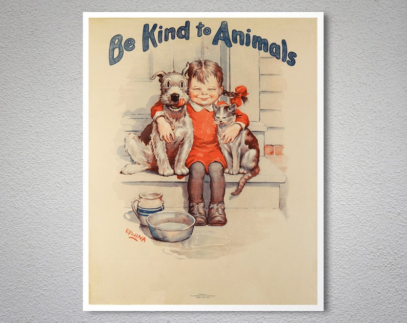 Kindness to animals essay in english picture