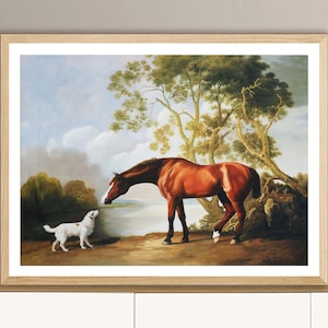 Bay Horse and White Dog by George Stubbs Fine Art Print - Animal Art / Gift for Horse Lovers / Horse Wall Decor
