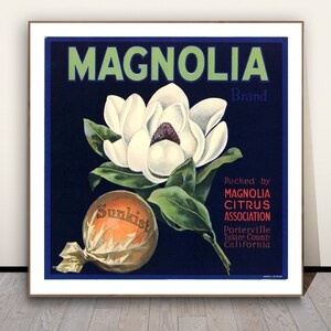 Vintage  Magnolia Crate Label Art Print - Reproduction of a Vintage Artwork, Decorative Purposes Wall Decor