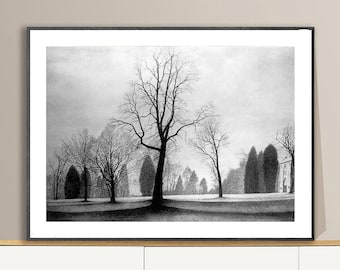 Trees by Léon Spilliaert Fine Art Print - Botanical Artwork, Landscape Print, Symbolist Style