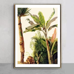 Banana Tree by Frederic Edwin Church  Fine Art Print - Botanical Art / Gift Idea / Wall Decor