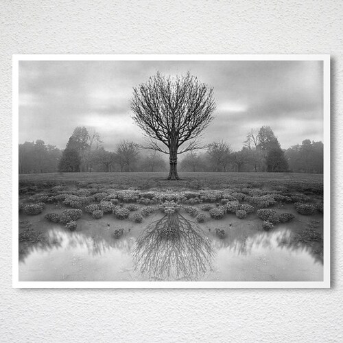 Black and White Photos Collection Set of 4 Fine Art Prints shops - Poster Paper Print / Gift Idea / Wall Decor