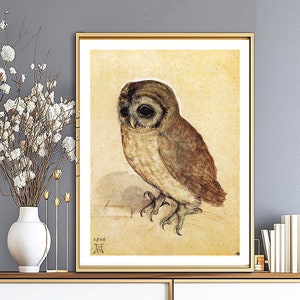 Little Owl by Albrecht Durer Fine Art Print, Animal Artwork, Renaissance Painting, Classical Artwork